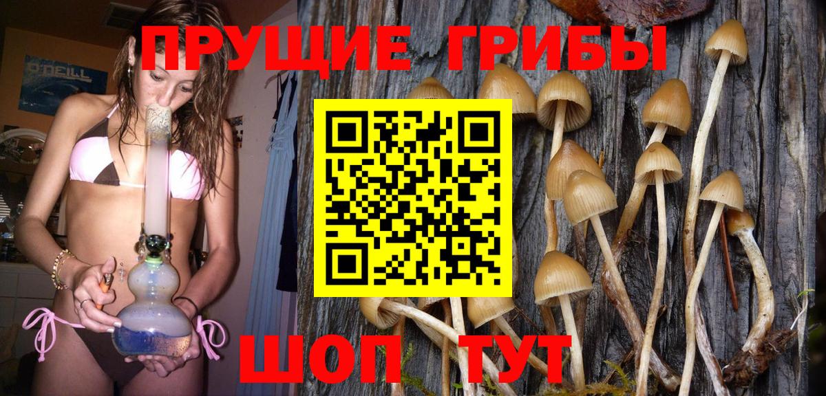 Псилоцибиновые грибы Cubensis Ростов-на-Дону